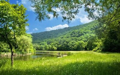 LECCIONES QUE LA NATURALEZA NOS ENSEÑA